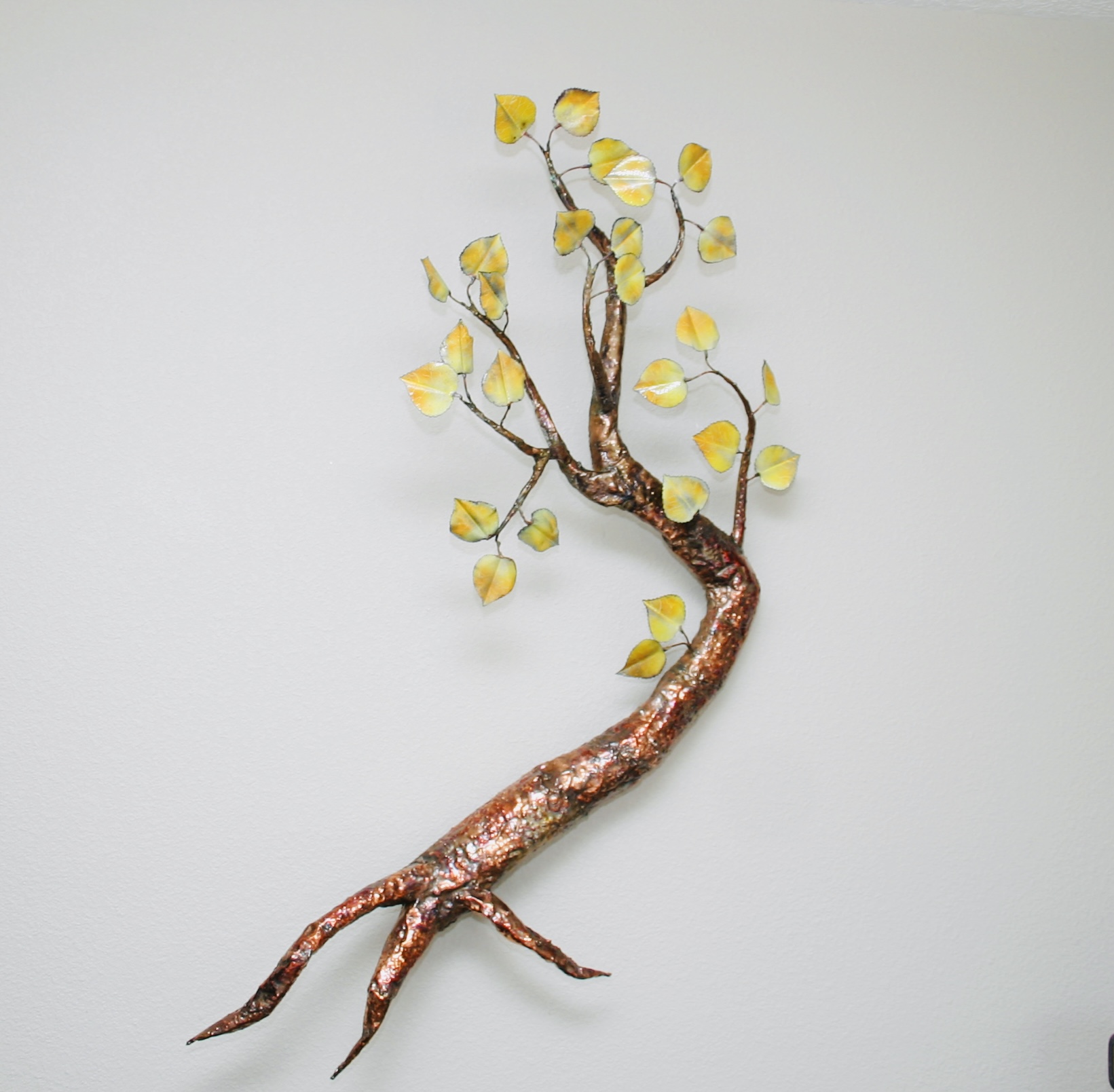 Copper Cottonwood Tree